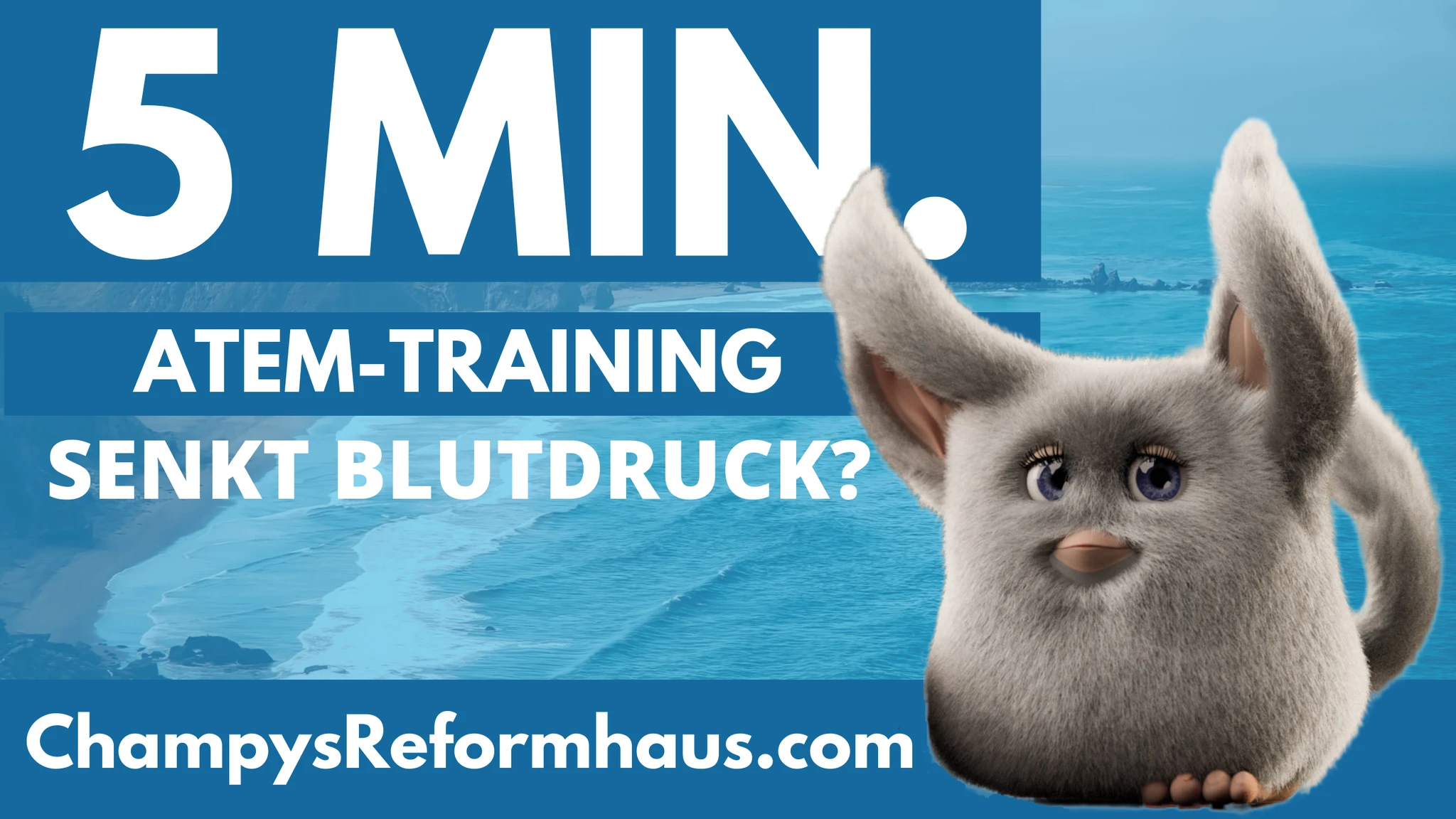 5 Minuten Atemtraining senkt Blutdruck?