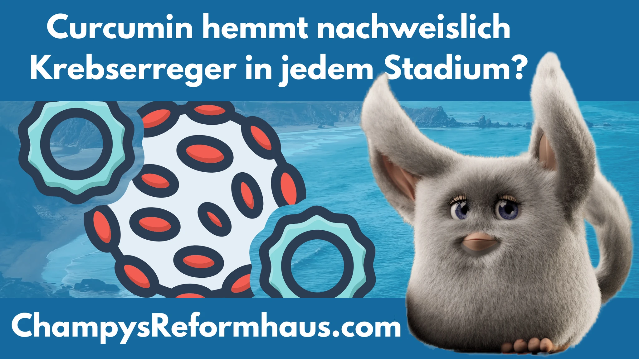 Curcumin hemmt nachweislich Krebserreger in jedem Stadium?