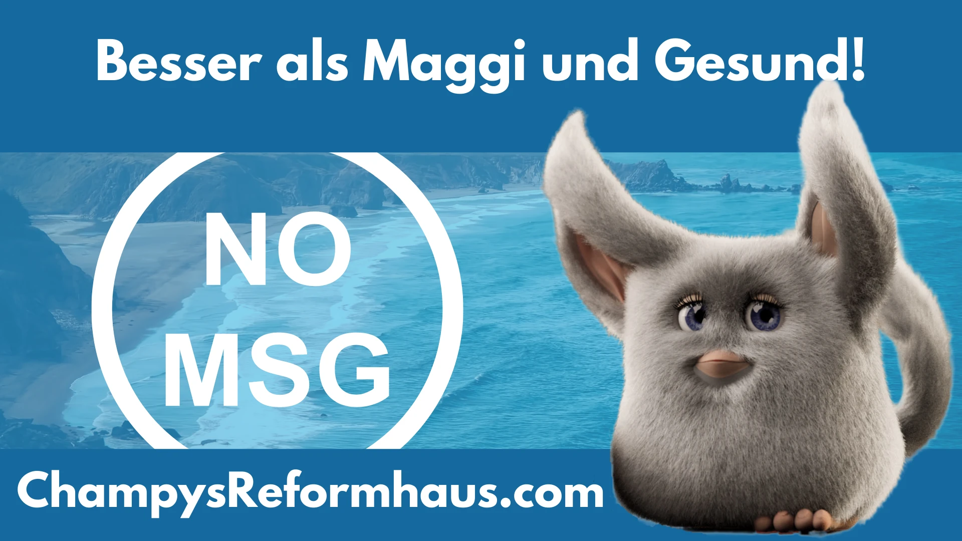Besser als Maggi und Gesund!